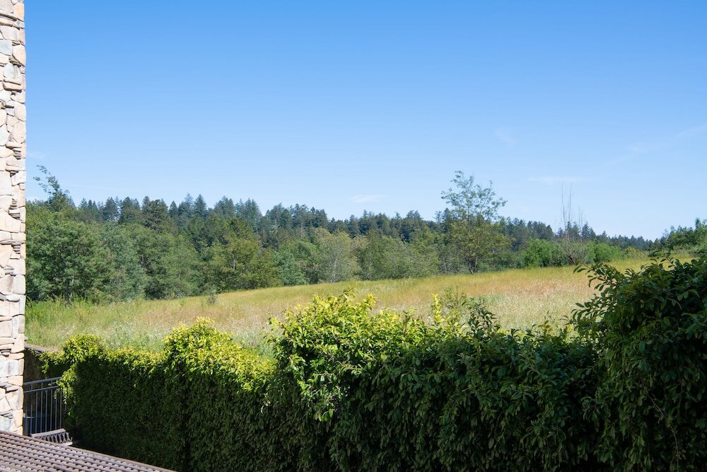 Фото Hilton Santa Cruz/Scotts Valley