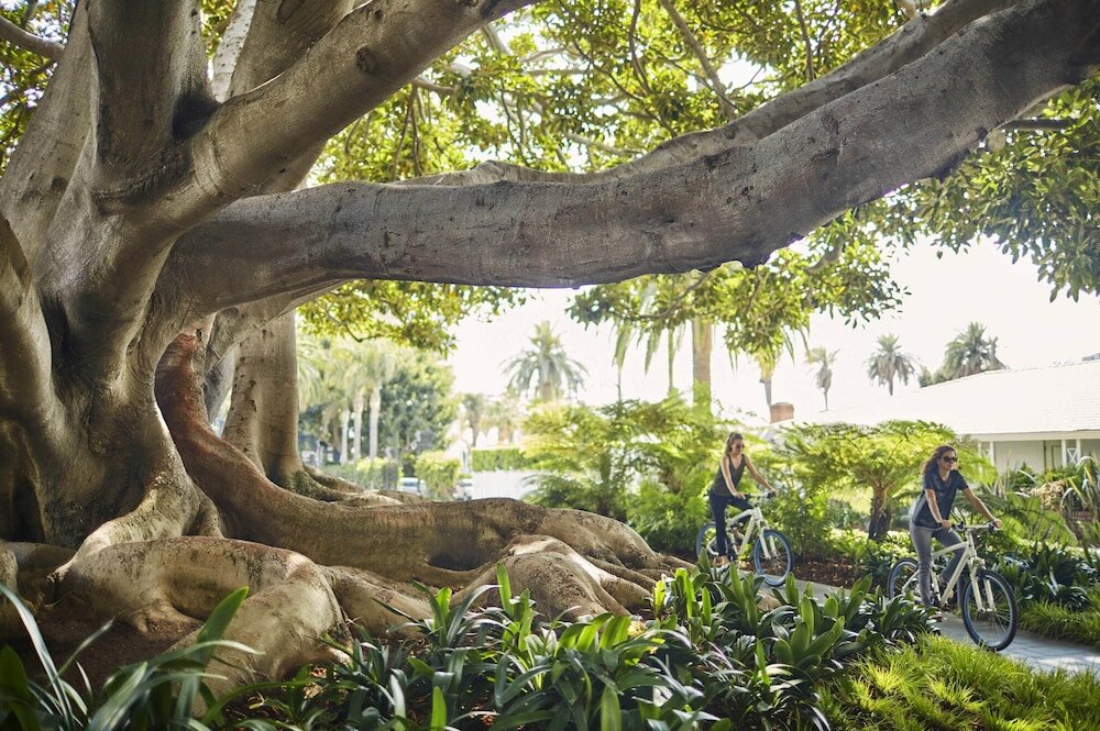 Фото Fairmont Miramar Bungalows