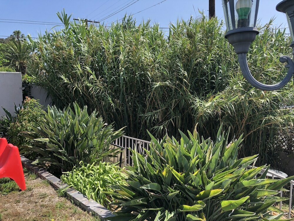 Фото Beverly Boutique ApartRoom of Hollywood