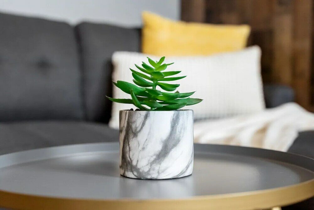 Фото Modern Trendy Spacious Homes SSFDowntown