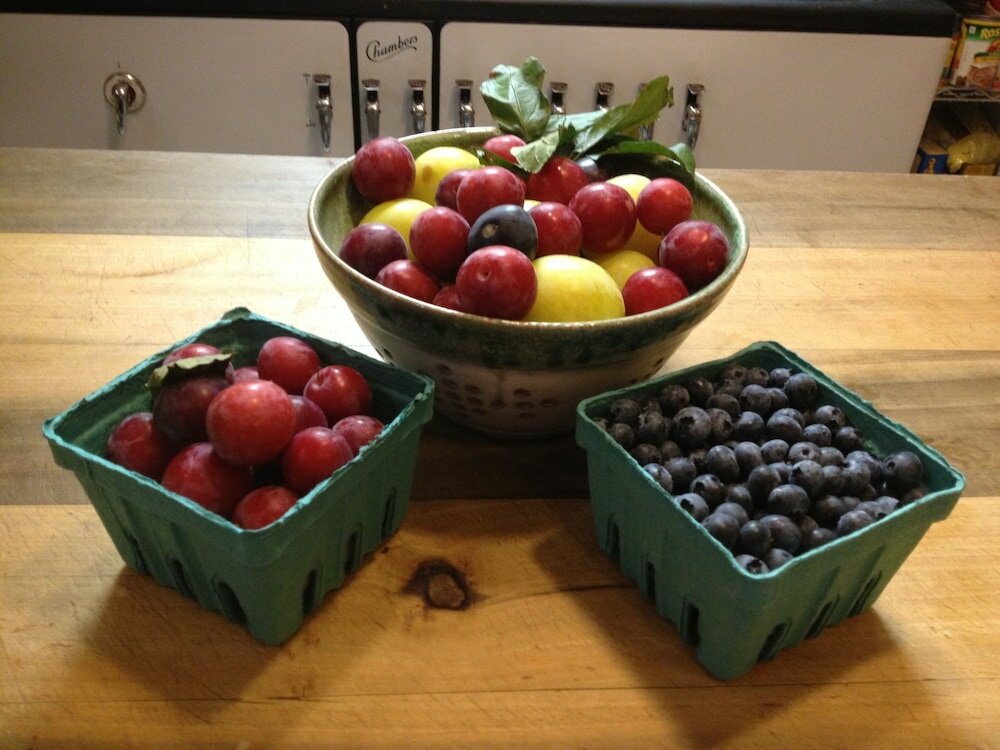 Фото Brass Pineapple Inn