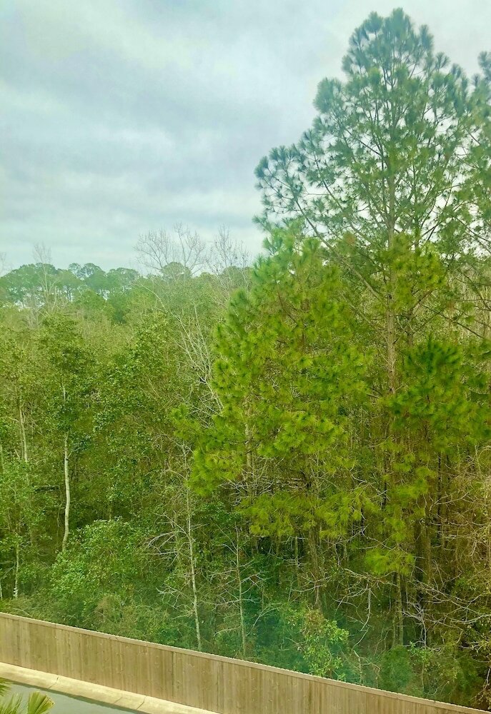 Фото Fairfield Inn & Suites by Marriott Pensacola West I-10