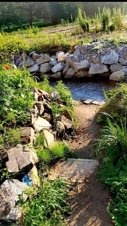 Фото Лесной дворик