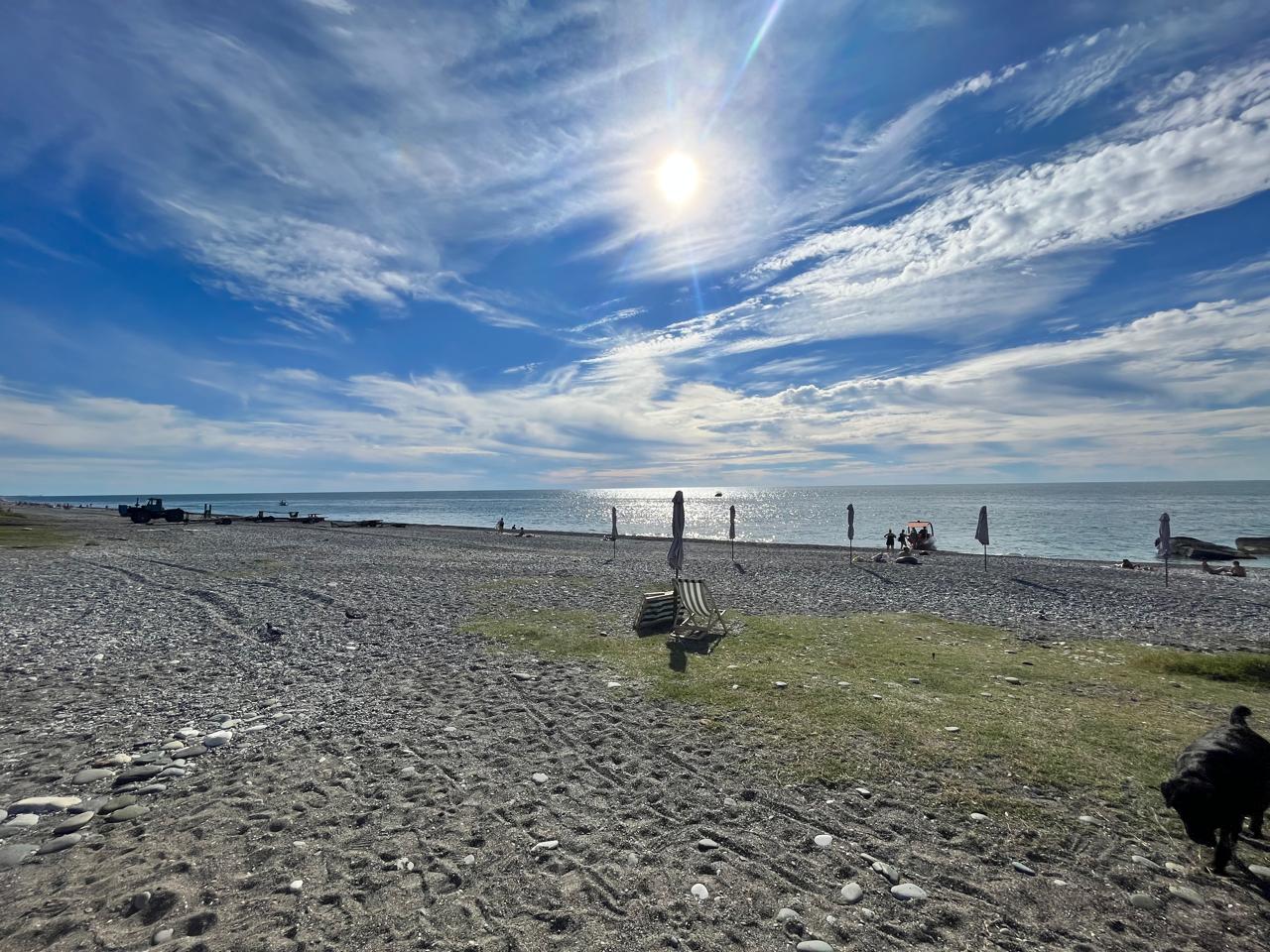 Фото Фазенда