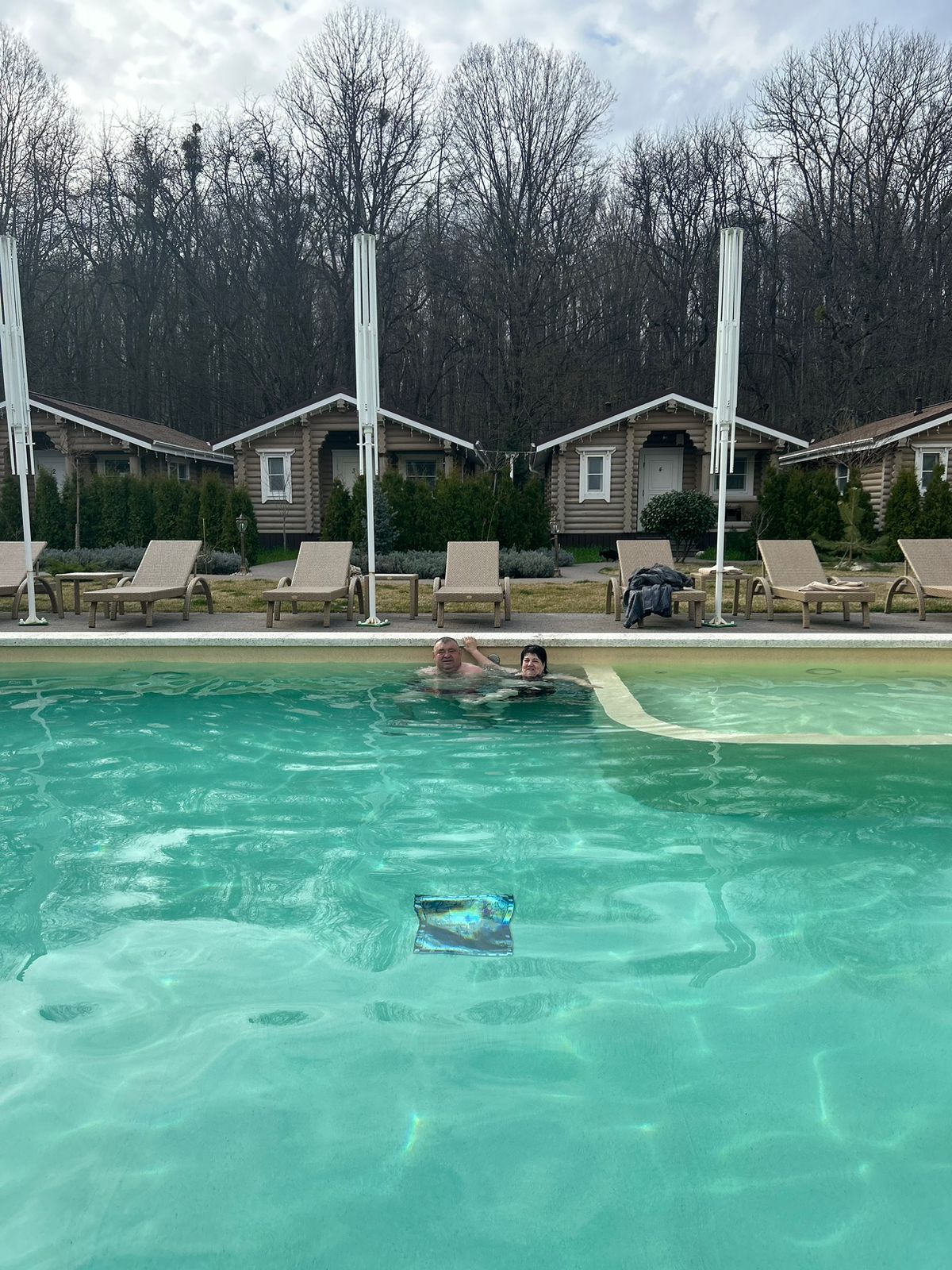 Фото Лаванда