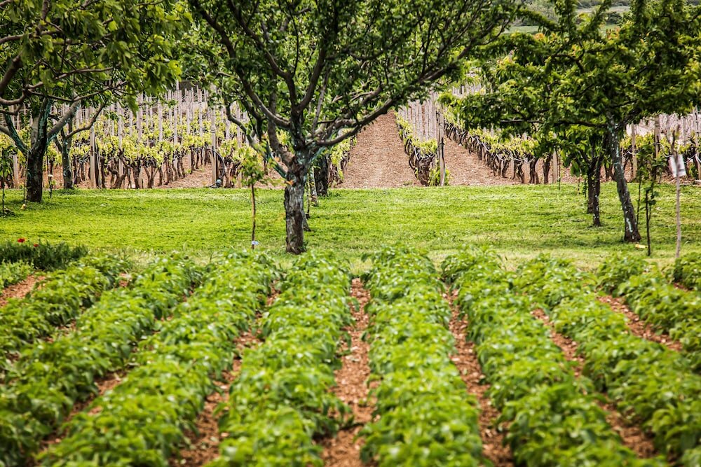 Фото Heritage Hotel Raznjevica Dvori