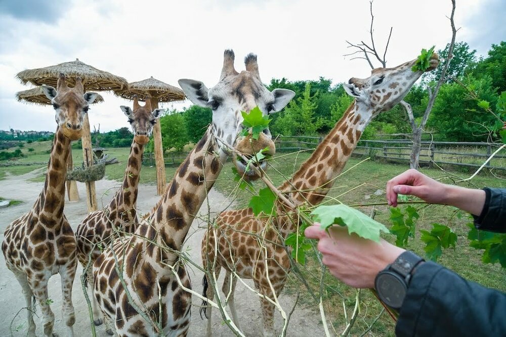 Фото Superior Suites & Apartments in the Heart of Prague