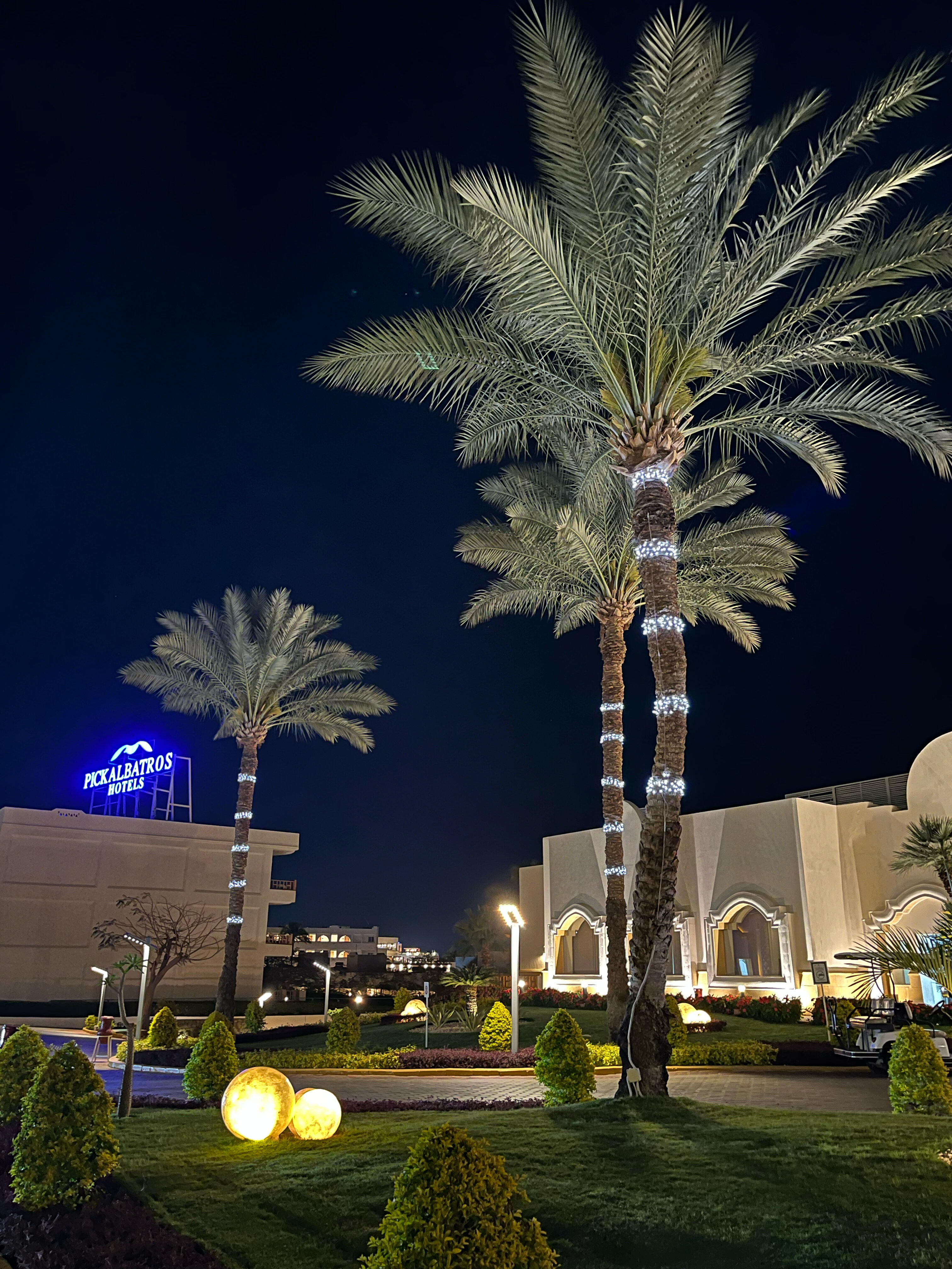 Фото Pickalbatros Royal Grand Resort