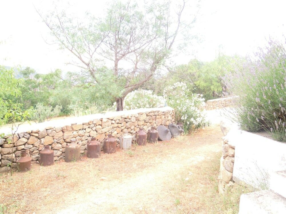 Фото Agriturismo Camisadu