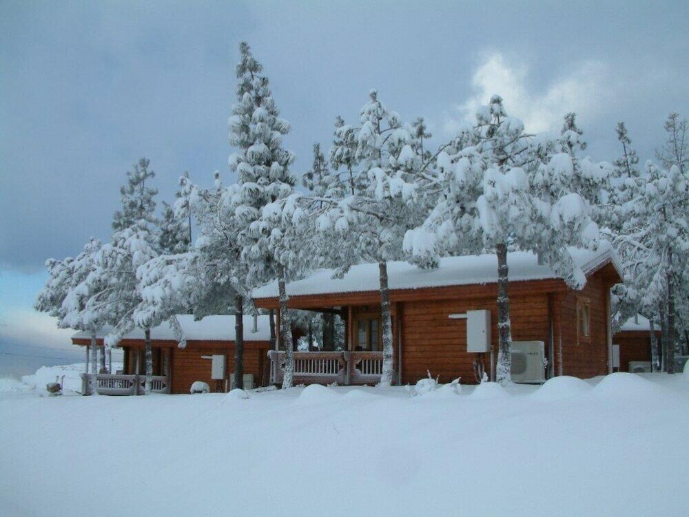 Фото Kibbutz Ortal Tourism