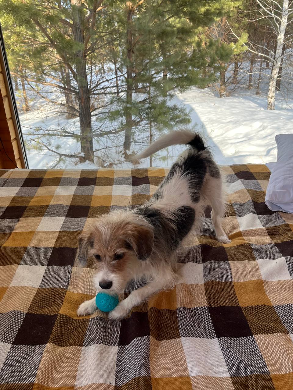 Фото Побег из города