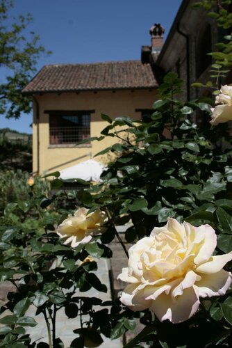 Гостиница Agriturismo Tenuta Antica