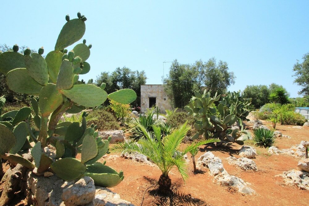 Фото Cavaliere Lovely Pool Home