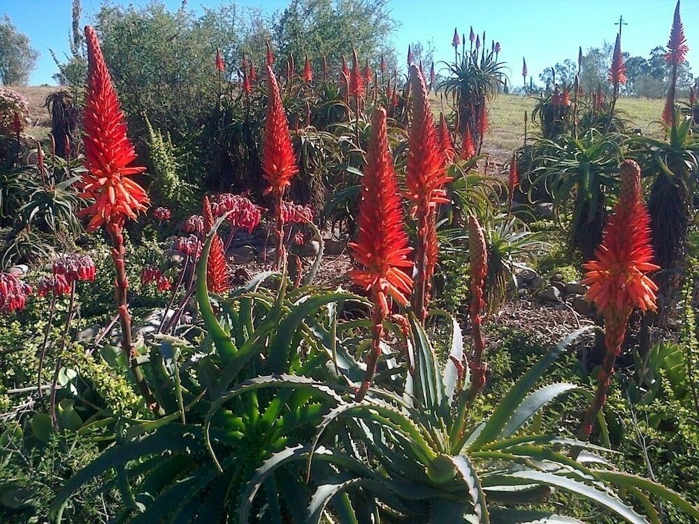 Фото Gerald's Gift Guest House