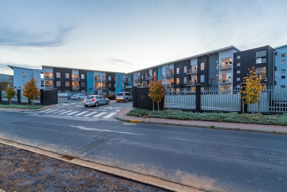 Фото Wink Quiver Tree