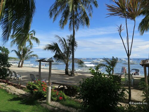 Гостиница Bohol Divers Resort в Тагбиларане