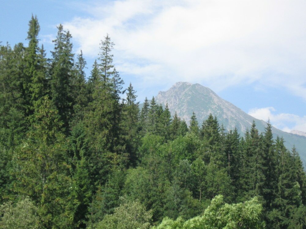 Фото Guest House Cyprian