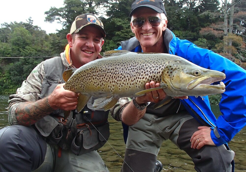 Фото River Birches