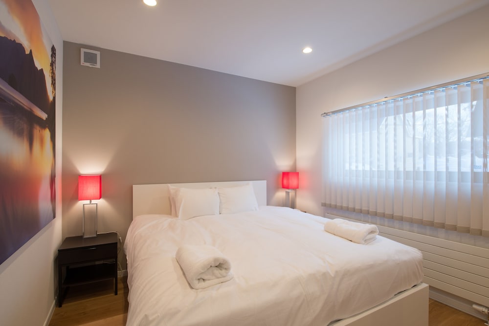 Фото Snow Monkey