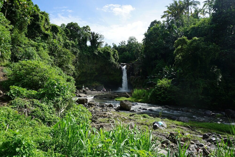 Фото Angel House Ubud