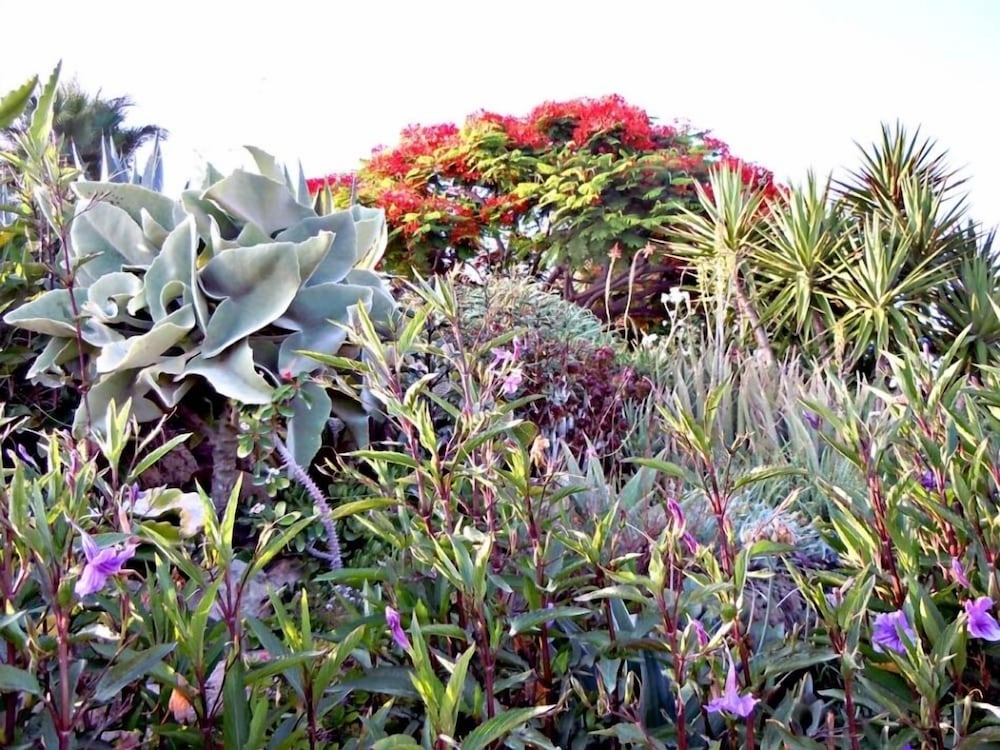 Фото Rododafni Beach Apartments