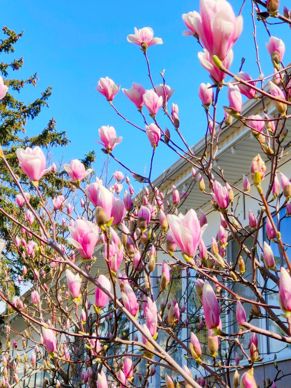 Фото Тихий центр