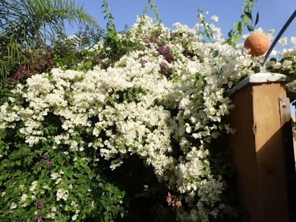 Фото Palais Mandarine