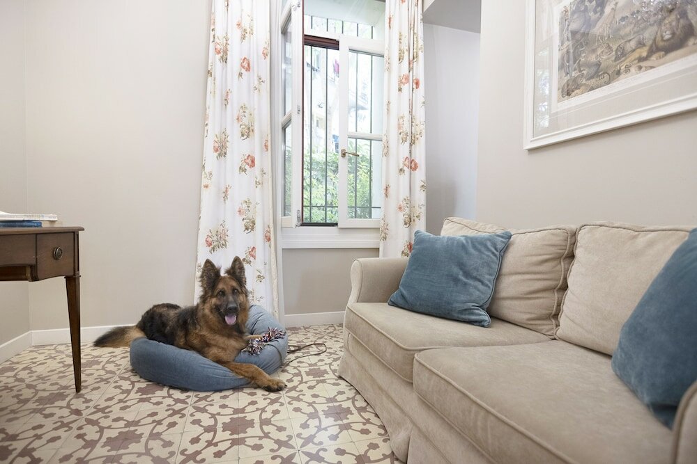 Фото Gatto Perso Luxury Apartments