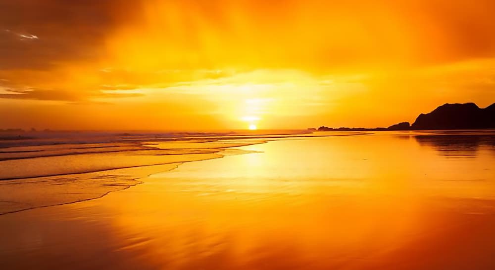 Фото Olas Verdes Hotel