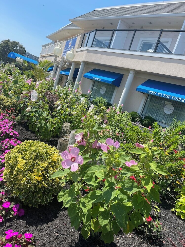 Фото The White Sands Oceanfront Resort & SPA