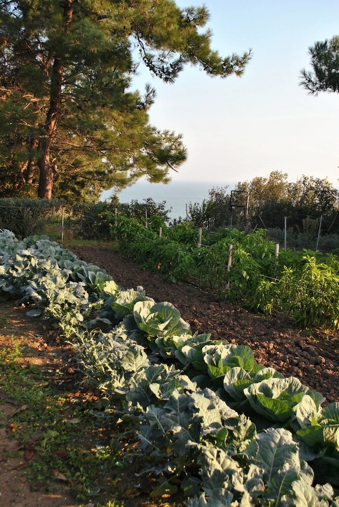 Фото Angelbay Bungalows