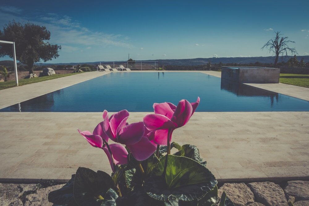 Фото La Mela di Venere
