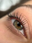 Browmania (Kuybysheva Street, 47), eyebrow and eyelash salon