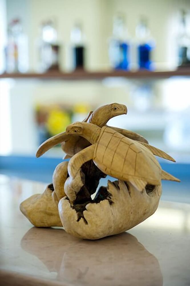 Фото Caretta Beach