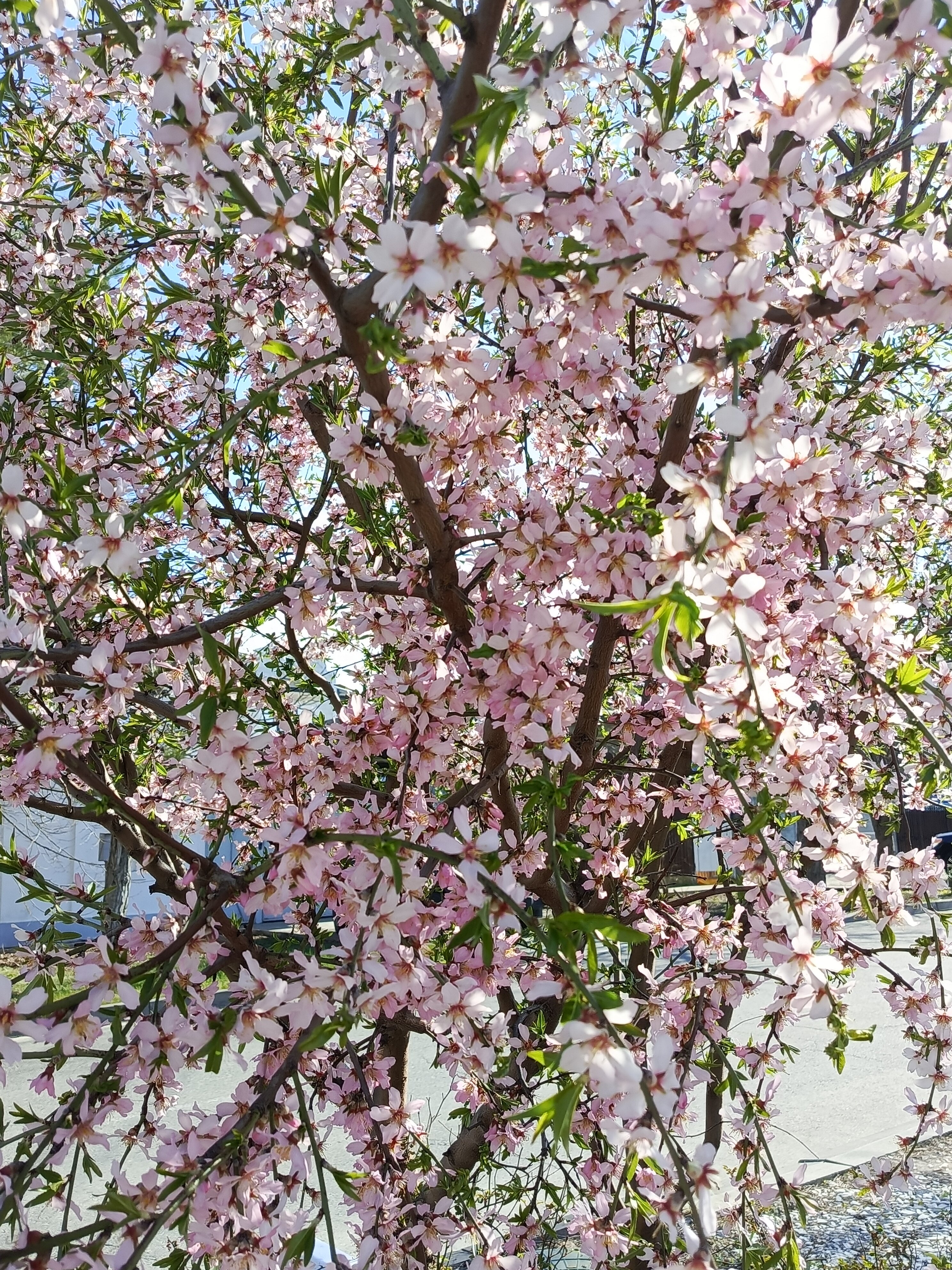 Фото Тихий центр