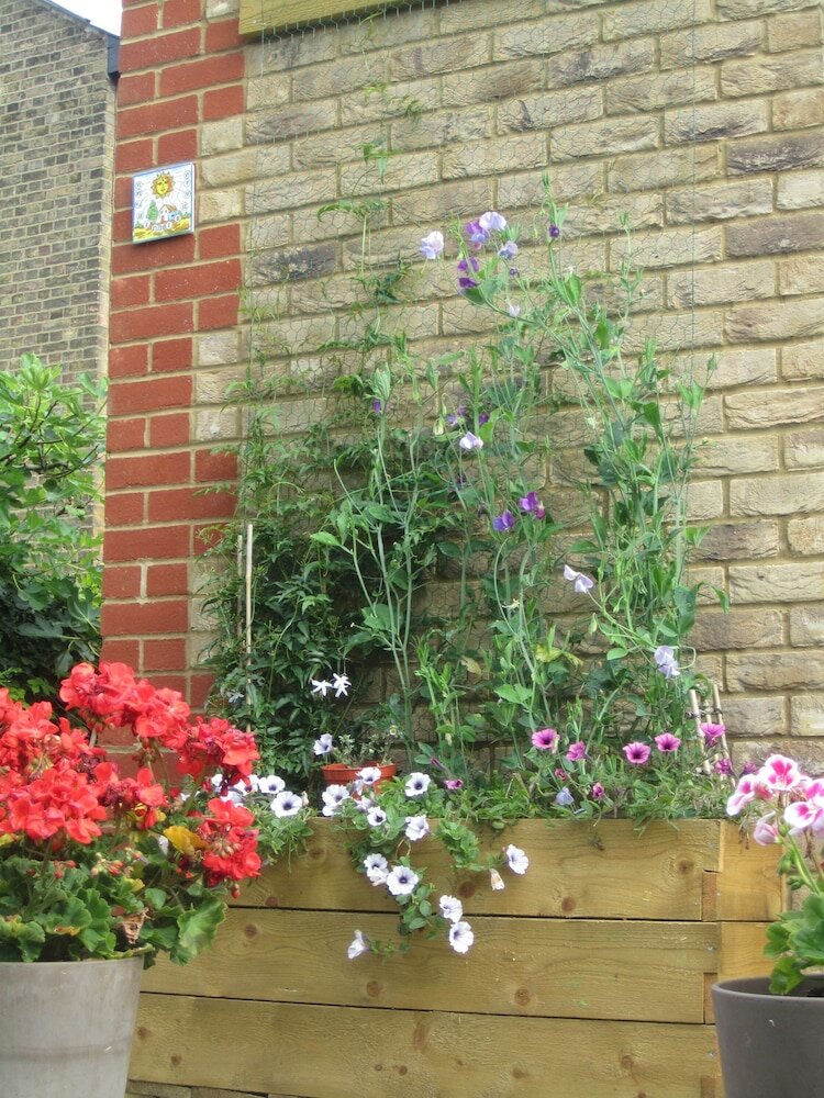 Фото Grange Guest House