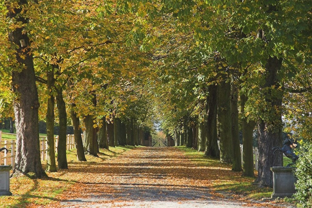 Фото Baynunah Hotel Drachenfels