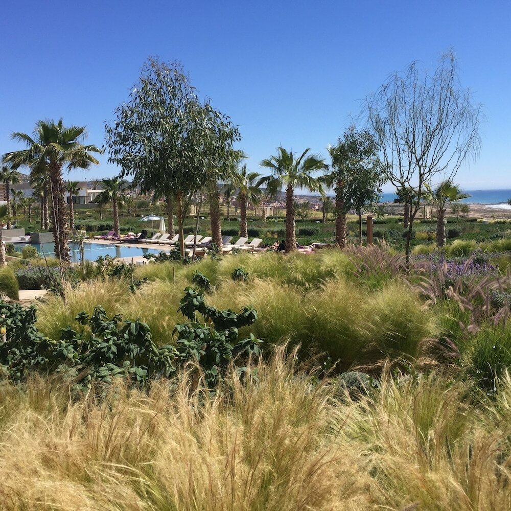 Фото Hyatt Place Taghazout Bay