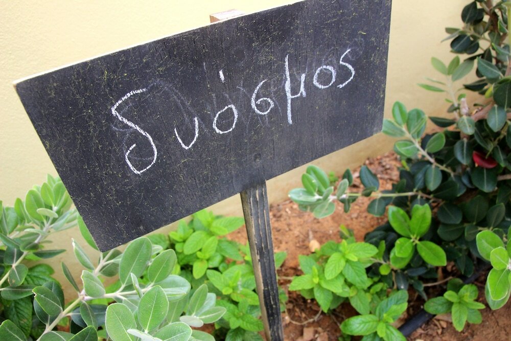 Фото Ilias Apartments