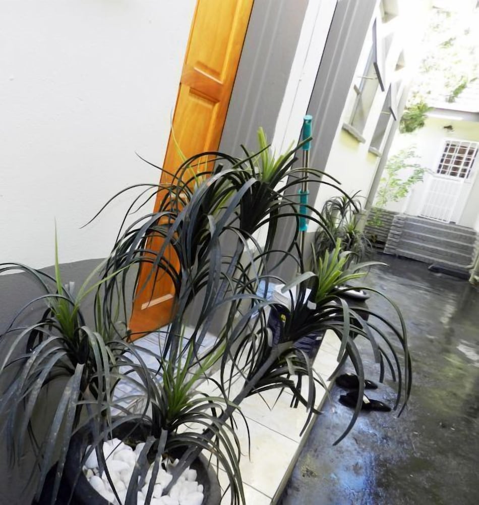 Фото Blackwood Guest House