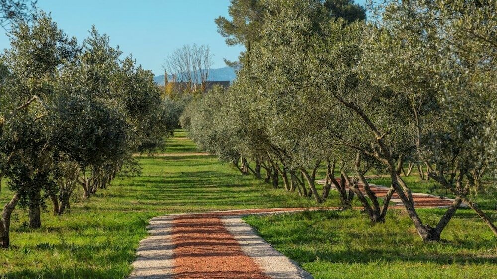 Фото Finca Son Miranda