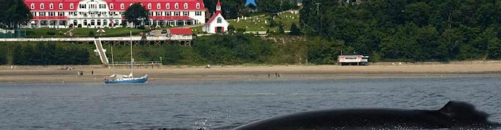 Фото La Galouine Auberge & Restaurant