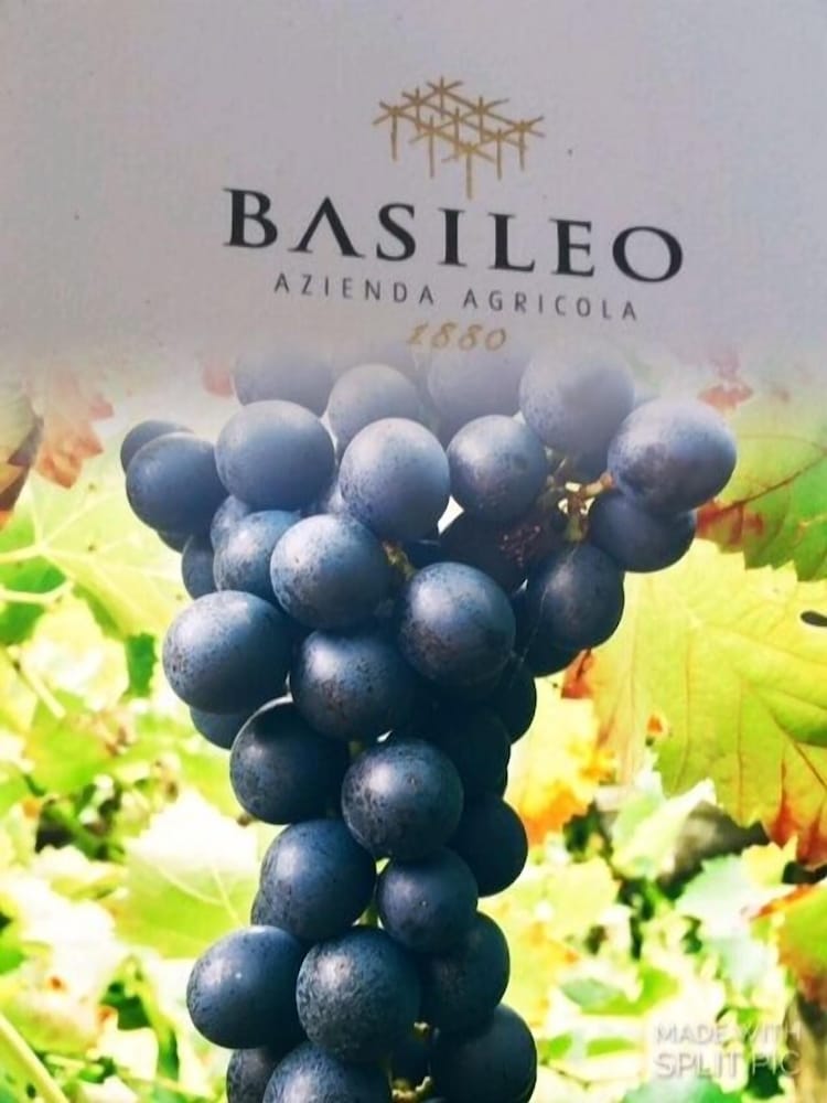 Фото Agriturismo Mare e Monti