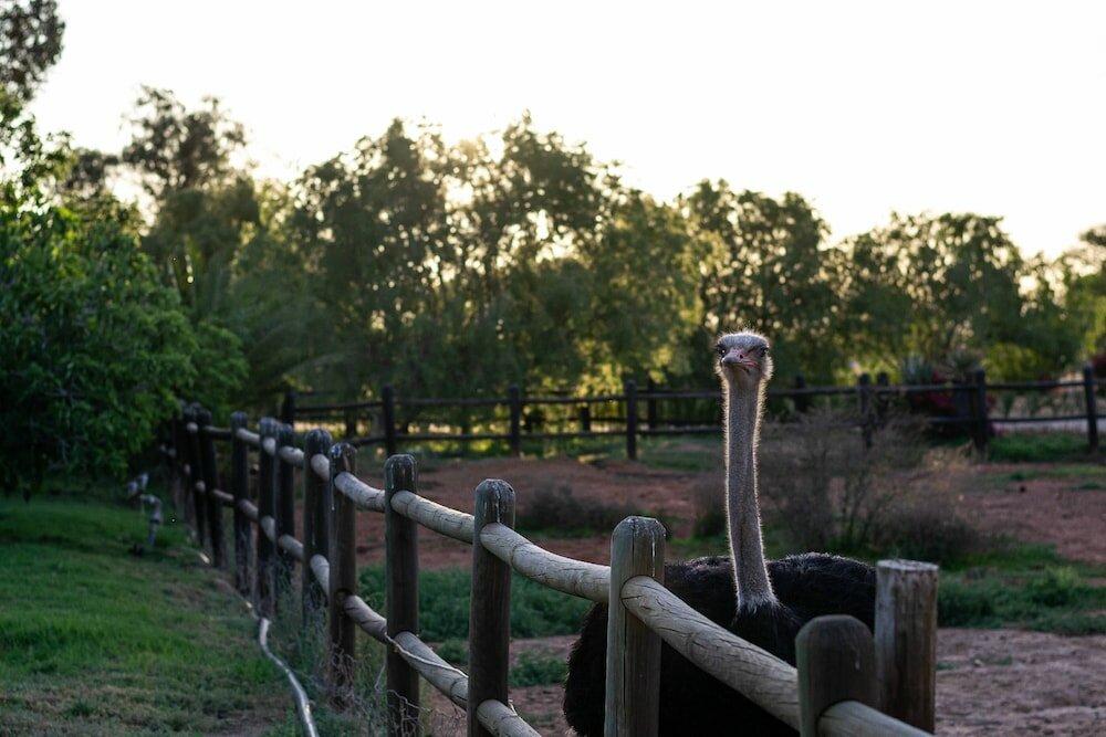 Фото Mooiplaas Guesthouse