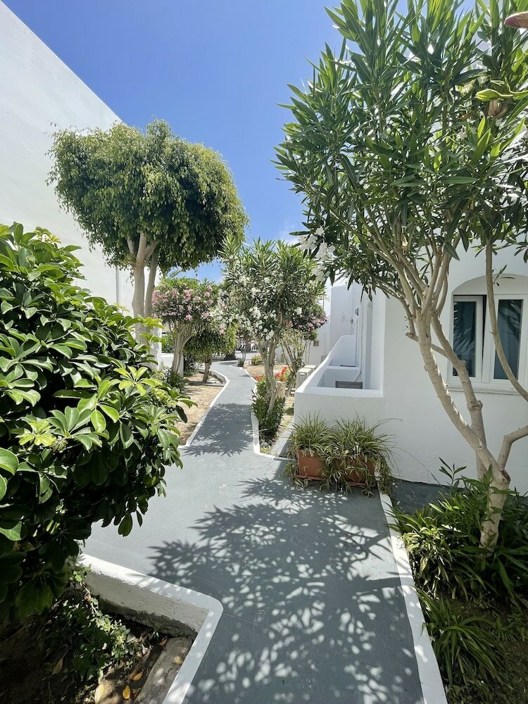 Фото Albatros Hotel