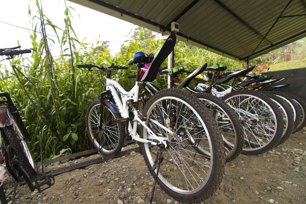 Фото Serene Villa