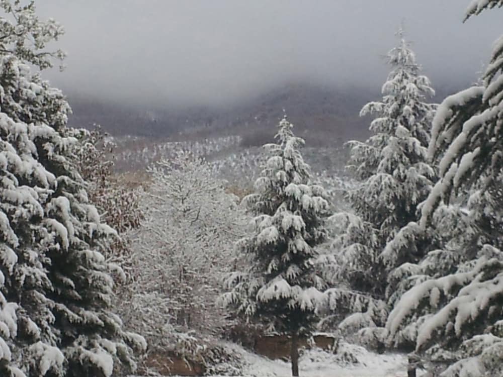 Фото Hotel Castagneto