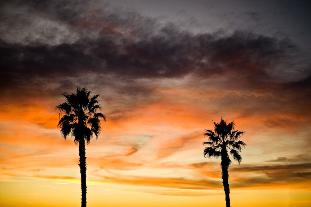 Фото Ocean Park Hotel