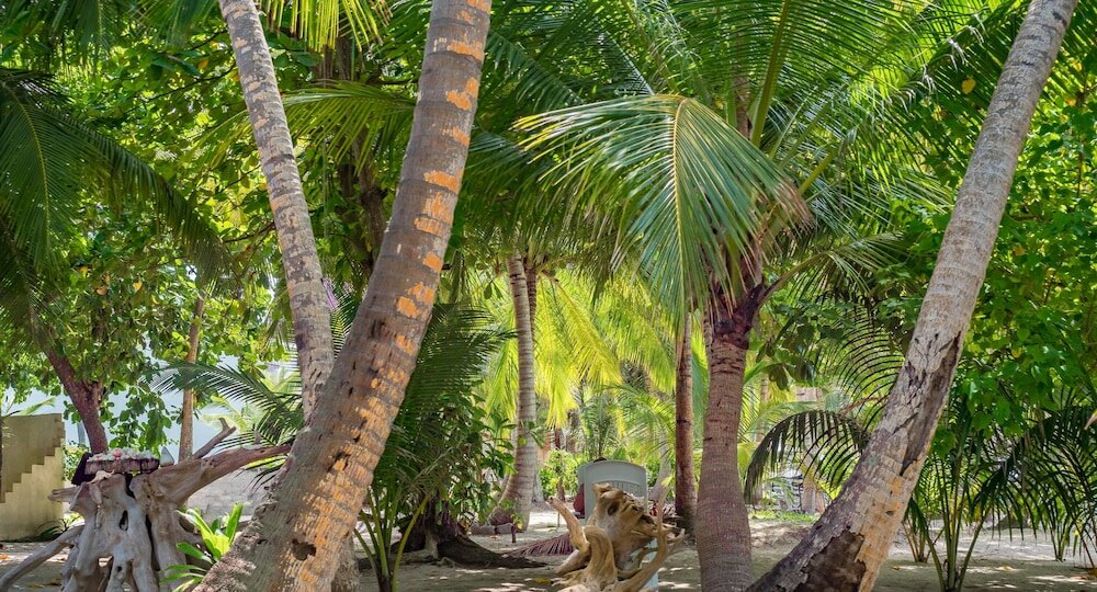 Фото Lvis Blancura