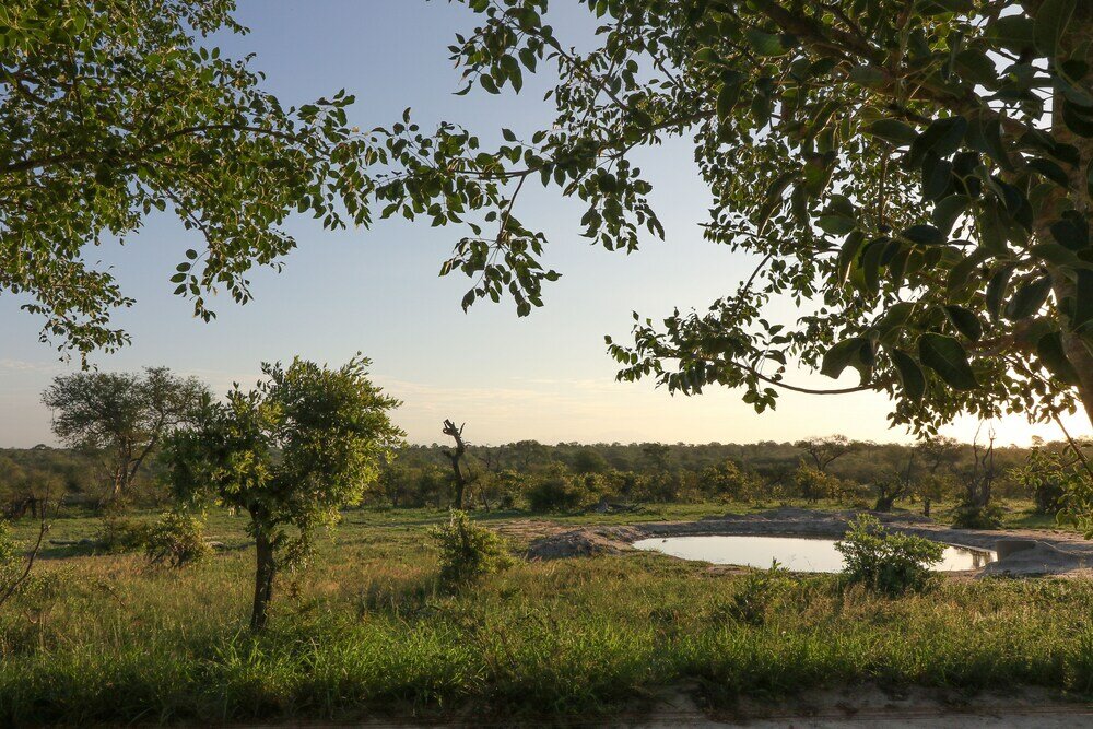 Фото Baobab Ridge Private Lodge